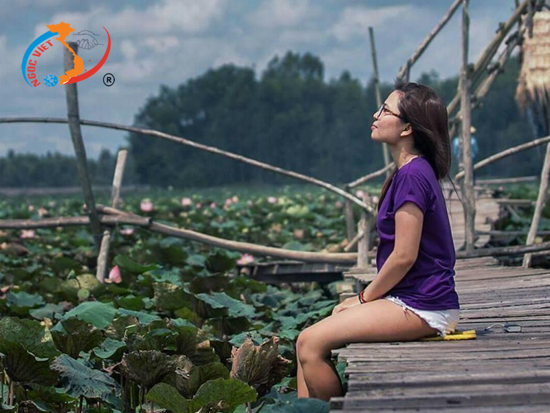 Đồng sen Tháp Mười Đồng sen Tháp Mười