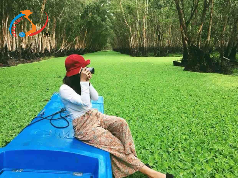 Rừng tràm Trà Sư - An Giang Rừng tràm Trà Sư - An Giang