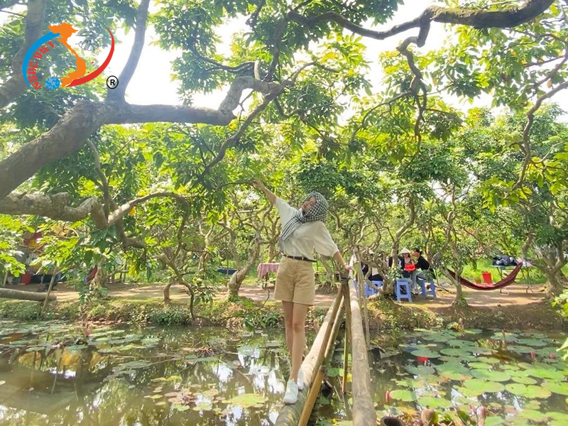 Miệt vườn miền Tây Miệt vườn miền Tây