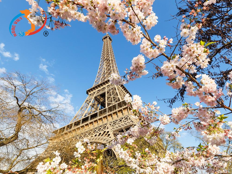 Địa điểm ngắm hoa anh đào ở Pháp Địa điểm ngắm hoa anh đào ở Pháp