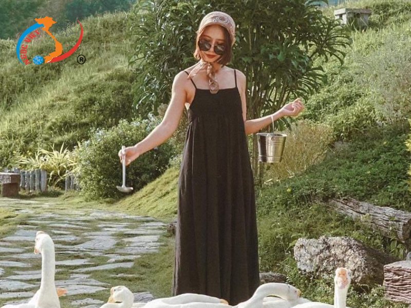 AlpacaHill AlpacaHill