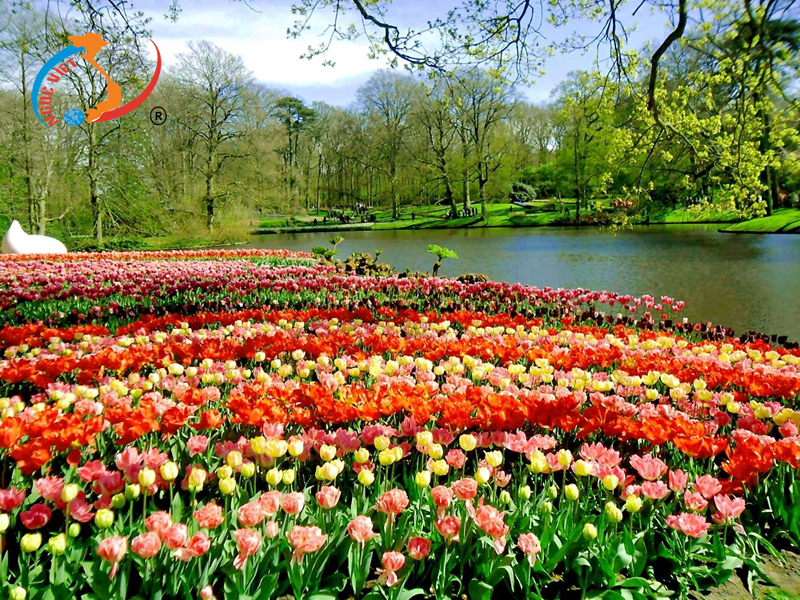 Vườn hoa Keukenhof Gardens ở Lisse, Hà Lan Vườn hoa Keukenhof Gardens ở Lisse, Hà Lan