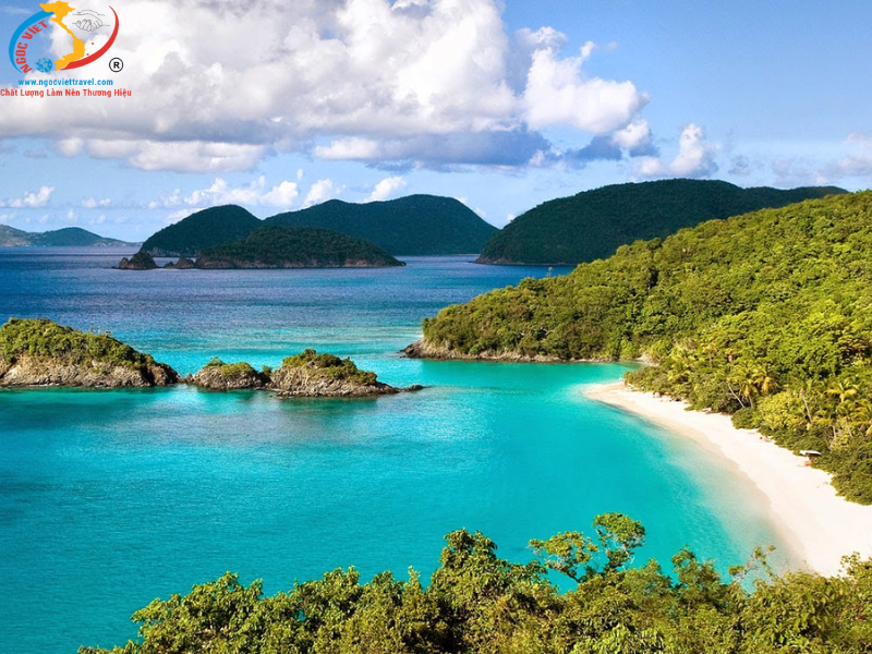 BÌNH BA ISLAND - 1 GUESTS 1 LOBSTER - NEW MODEL CARS