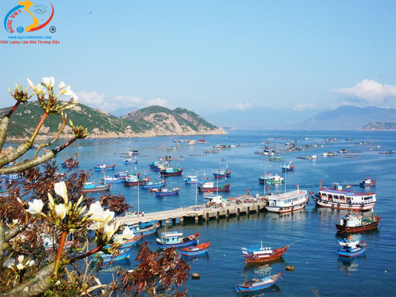 BÌNH BA ISLAND - 1 GUESTS 1 LOBSTER - NEW MODEL CARS