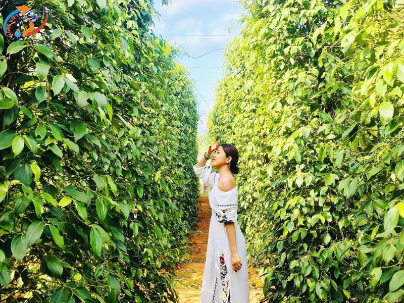 ĐẢO NGỌC PHÚ QUỐC - CHECK-IN THÀNH PHỐ KHÔNG NGỦ GRAND WORLD (BAY)